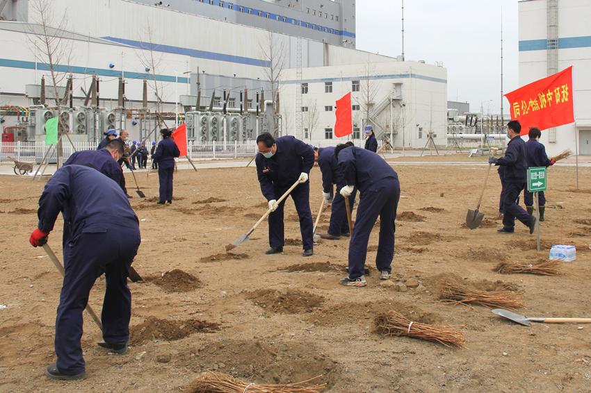 两级机关干部创建文明厂区植树活动_副本.jpg